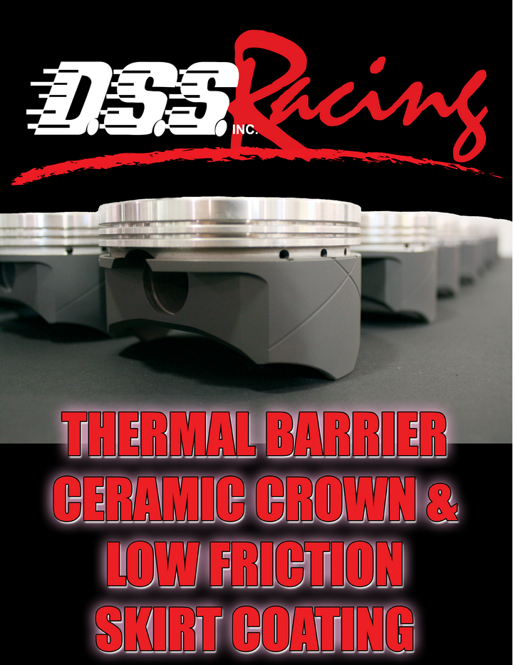 Piston Coating 10 Cylinder Set – DSS RACING PISTONS